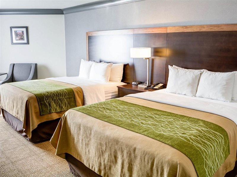Comfort Inn & Suites Near Universal - N Hollywood - Burbank Los Angeles Esterno foto